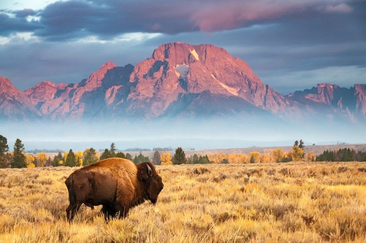National Parks ~ Summer Ideas