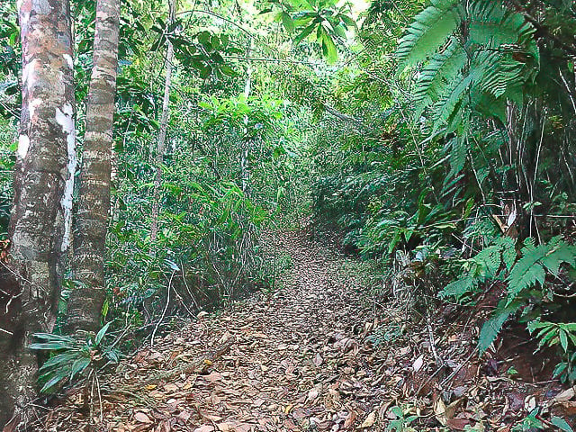 Off-Grid Luxury Retreat, Osa, Puntarenas