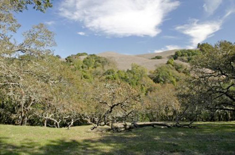 Sonoma County Estate Building Site