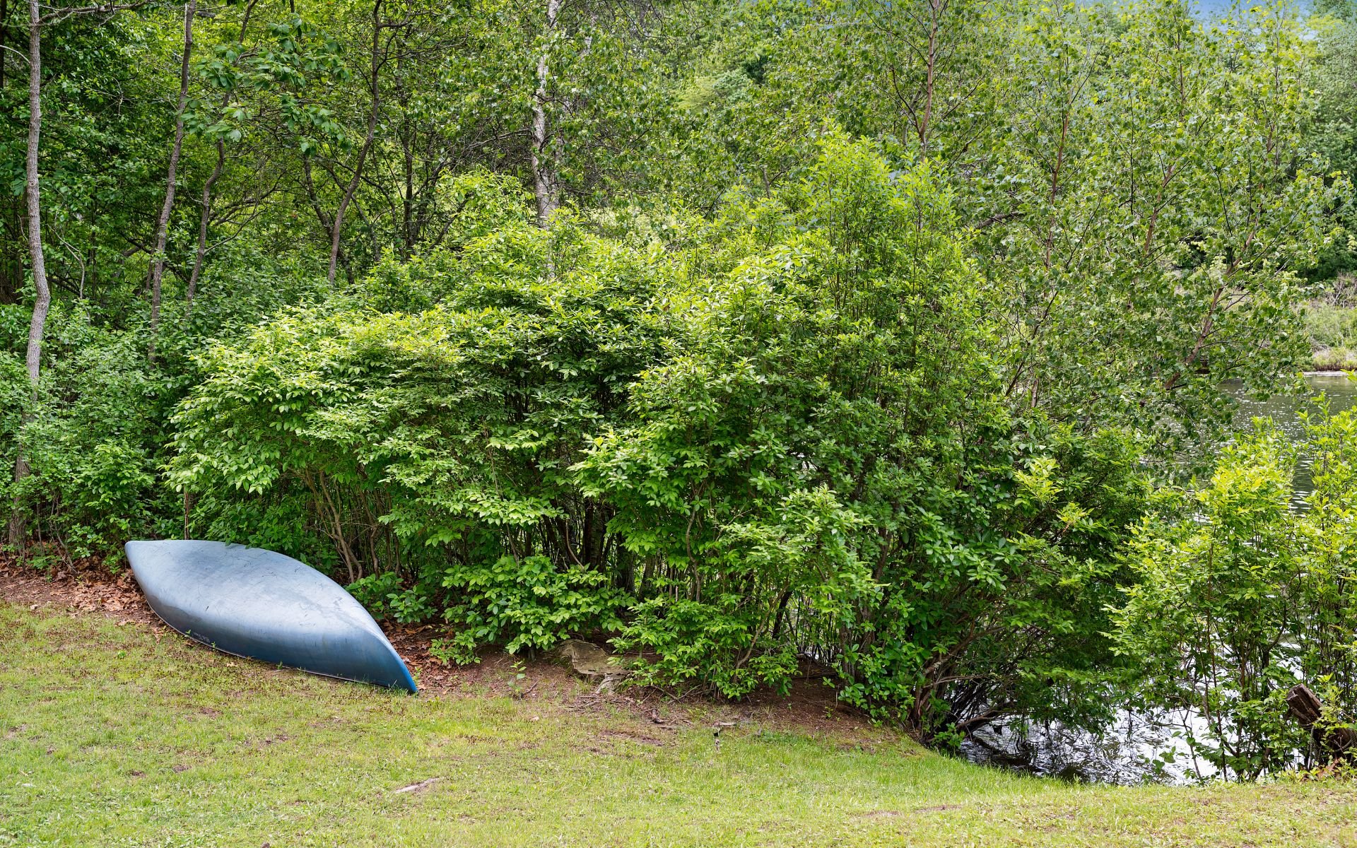 Pondfront Bungalow