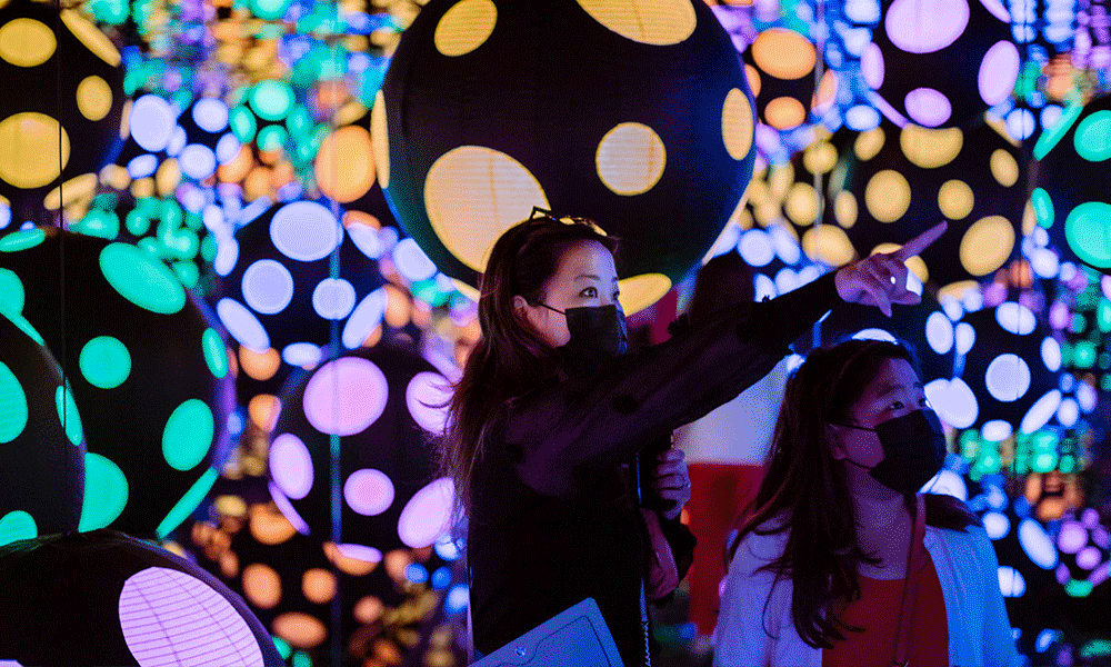 Things to Do in the DC Area This Spring!