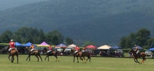 Charlottesville Summer Bucket List: Polo at King Family Vineyards