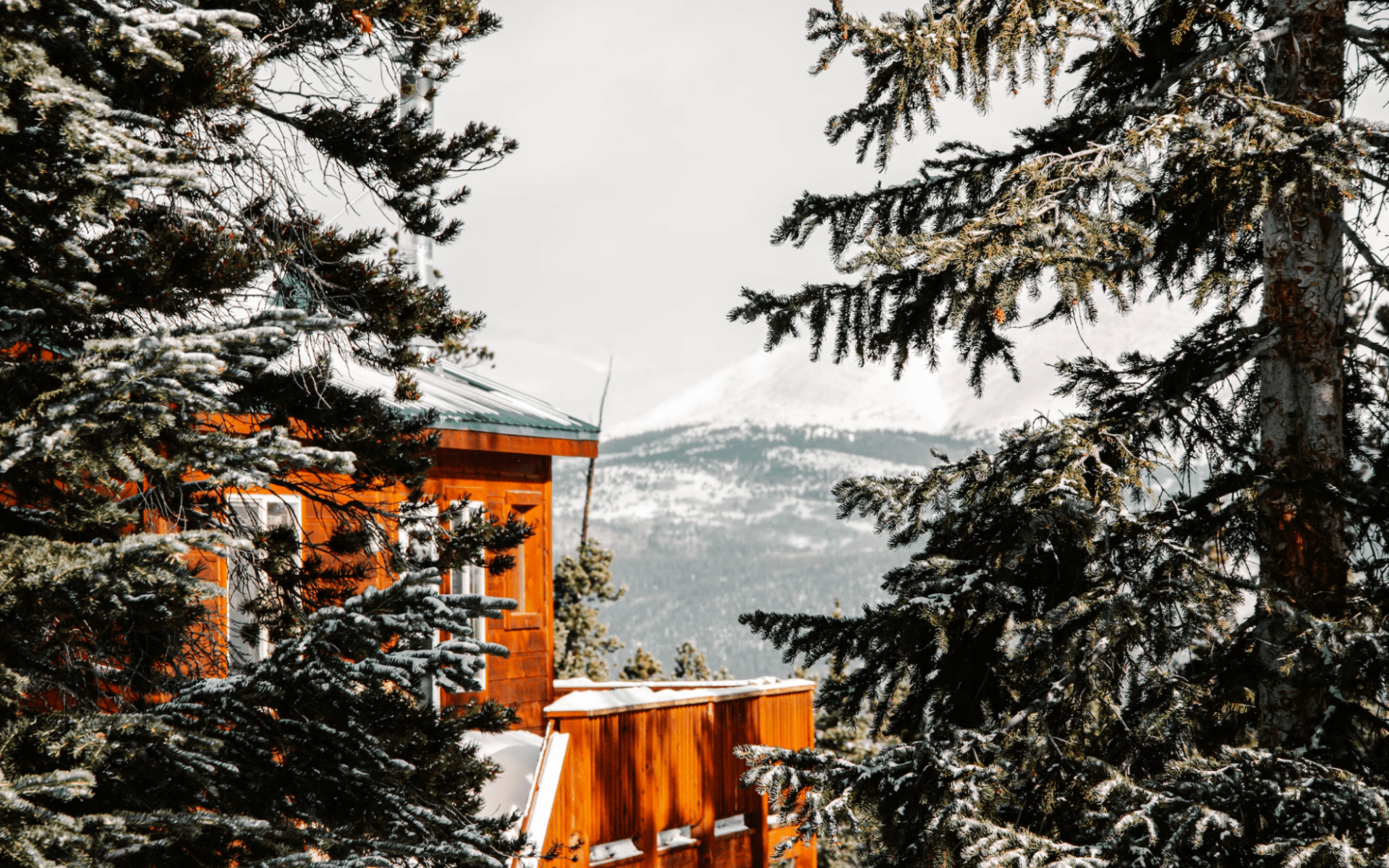 Georgetown, D.C. — Schools and Education