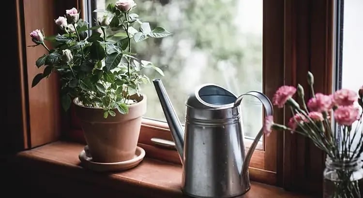A watering can and potted plants placed on a wooden windowsill, suggesting gardening or home decor. The scene is bright and inviting.