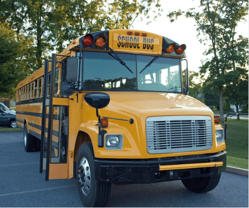 Yellow school bus parked beside a grassy area and leafy trees, with its passenger door open.
