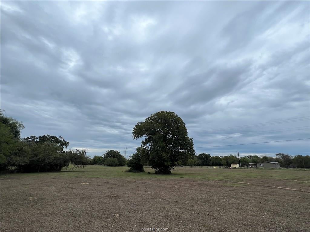Lot #4 & #5 CR 166, Iola, TX 77861
