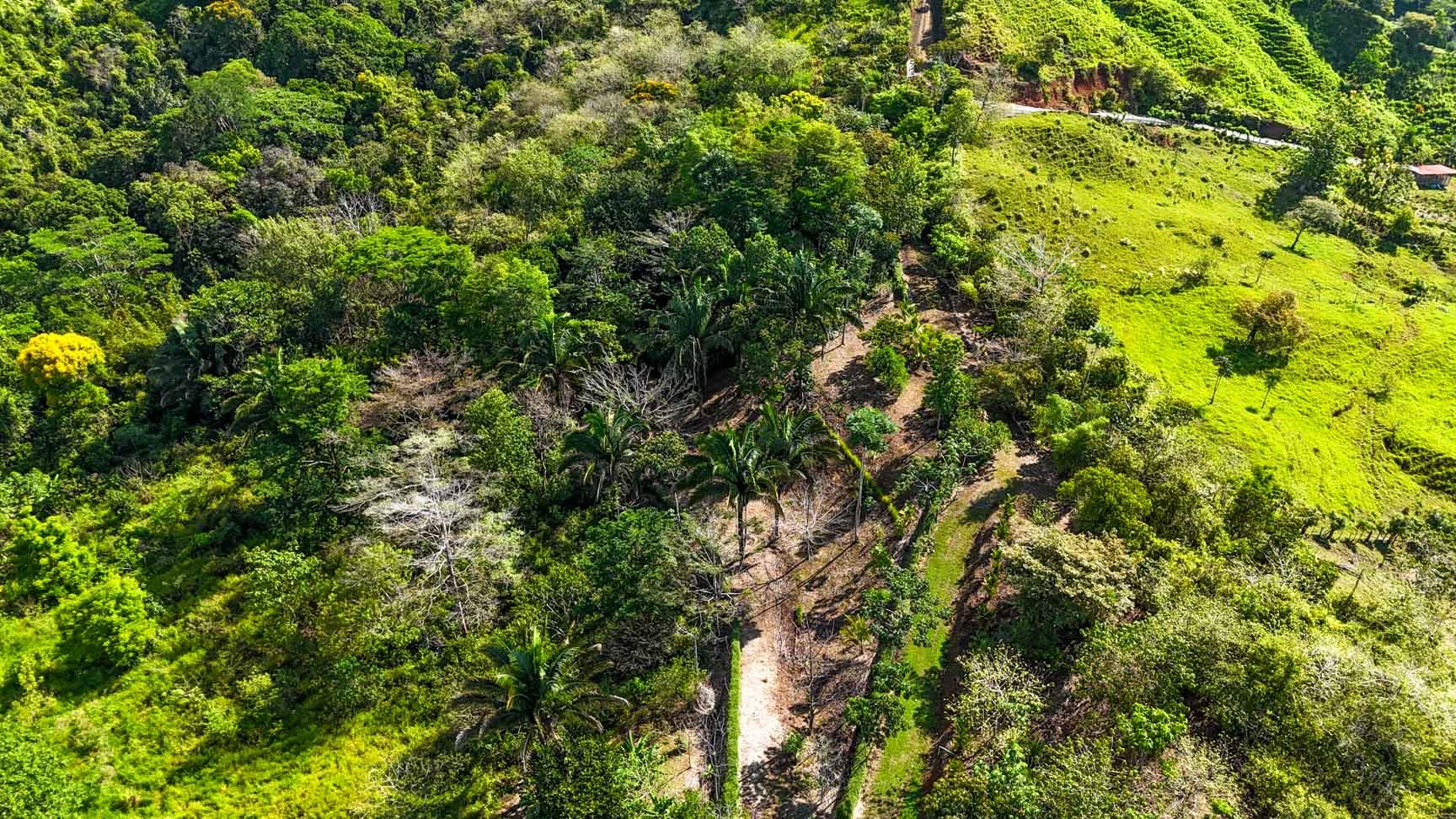 32-Acre Self-Sustainable Off-Grid Farm Near Ojochal with House, Solar Power & River