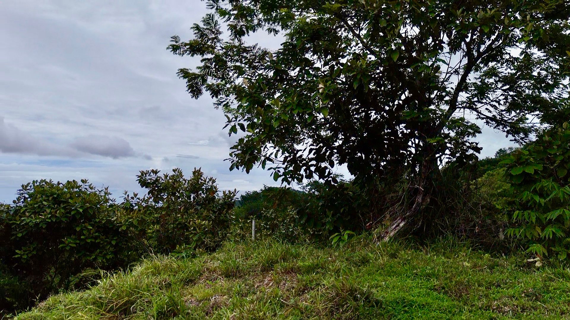 Ocean View Sanctuary in San Buenas – 4.94 Acres of Pastures & Easy Accessaccess