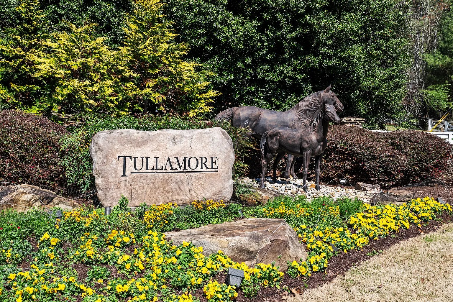 15445 Thorntree Run