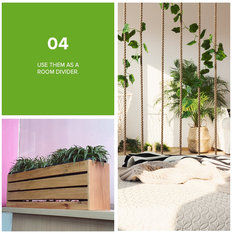 Tip 04: Use plants as a room divider, shown with hanging plants and a wooden planter box.