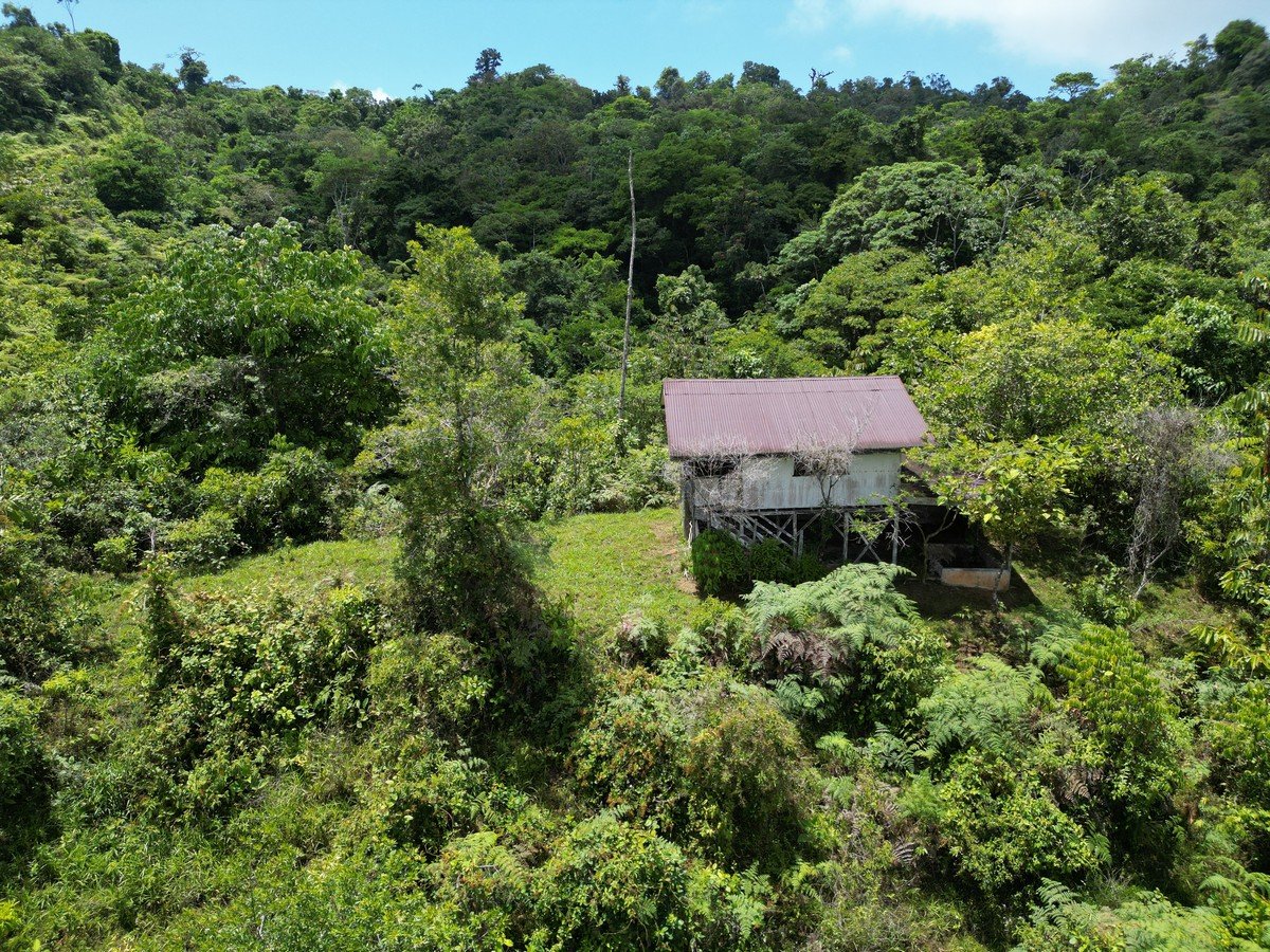32 ACRES – Mountain Land With Spring, Jungle & Usable Space!!!!