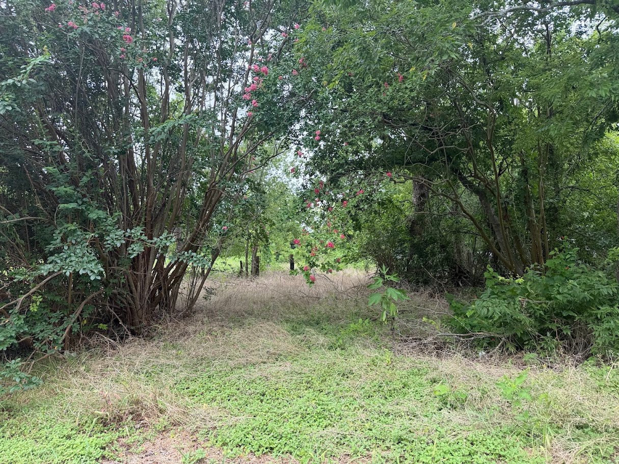 Land for Sale - Mart Tx