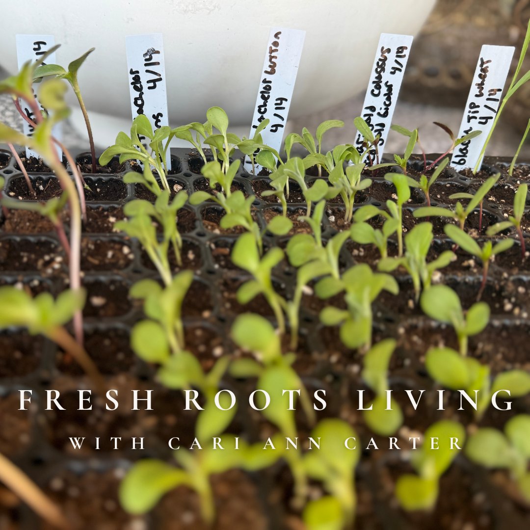 Grow What You Eat: Planning