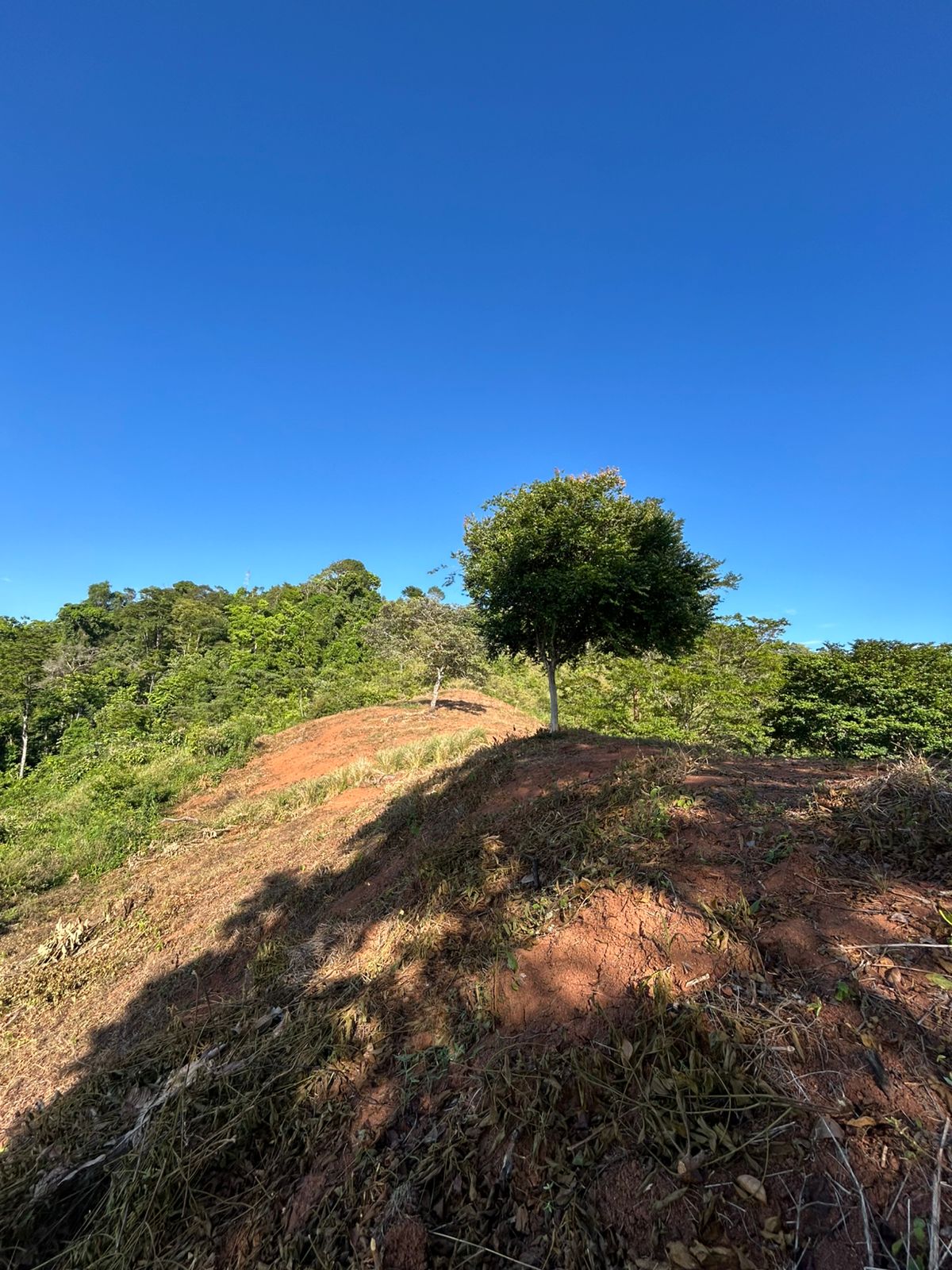 67 acres development (15 titled lots) with breathtaking views in Sierpe