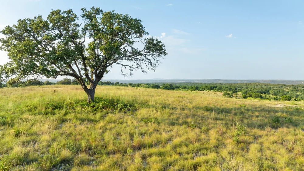 5 Seven 2 Ranch