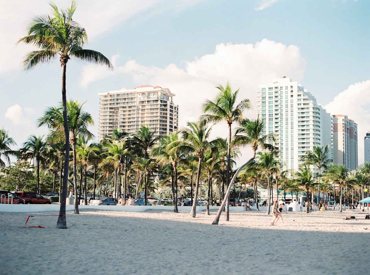 LUXE Top 5: Things To Do: November