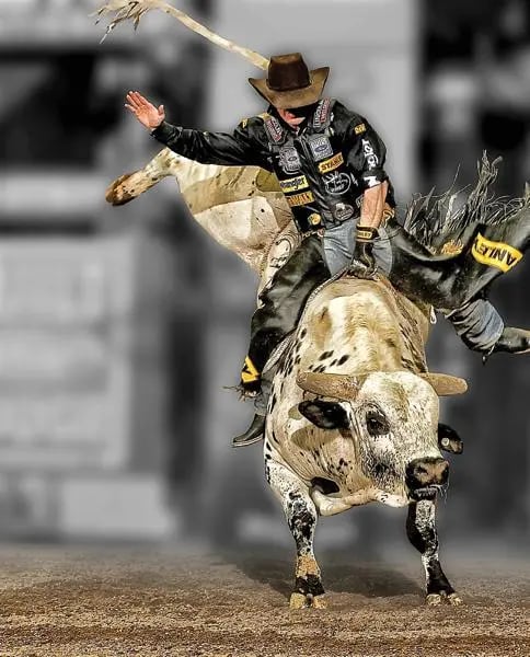 PBR: Team Series image