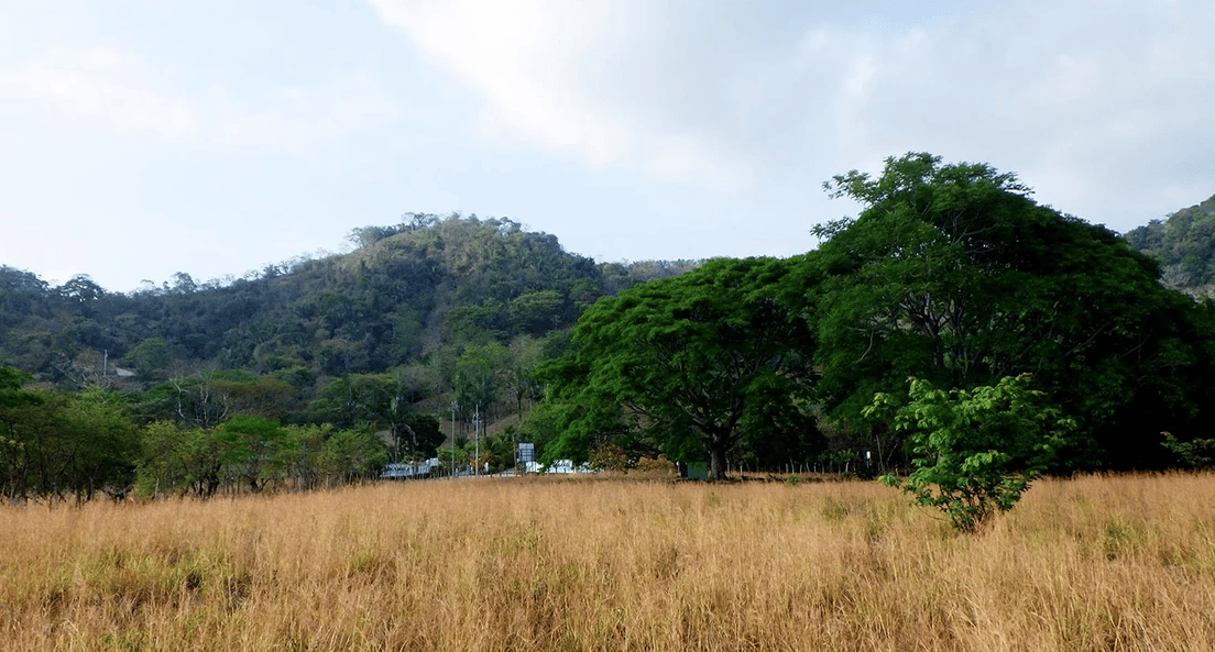 La Reserva Commercial Lot, Playa Camaronal / , Zapotal, Nandayure, Guanacaste