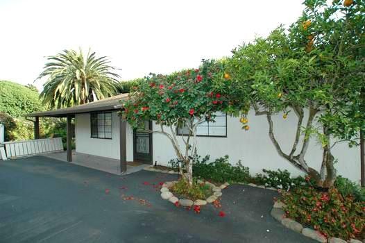 115 Olive Mill Rd