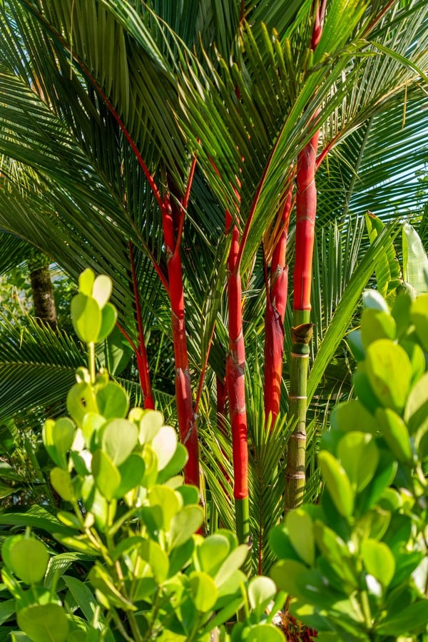  3 Bedroom Stunning Luxury Home Featuring Sweeping Valley & Ocean Views, 5.67 ACRES 