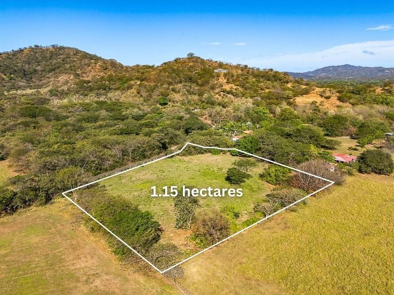 Portegolpe Lot | 2.84 Acres Property With Paved Road Frontage