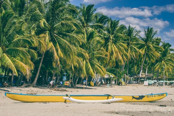 Yellow outrigger canoe on a sandy beach lined with palm trees.