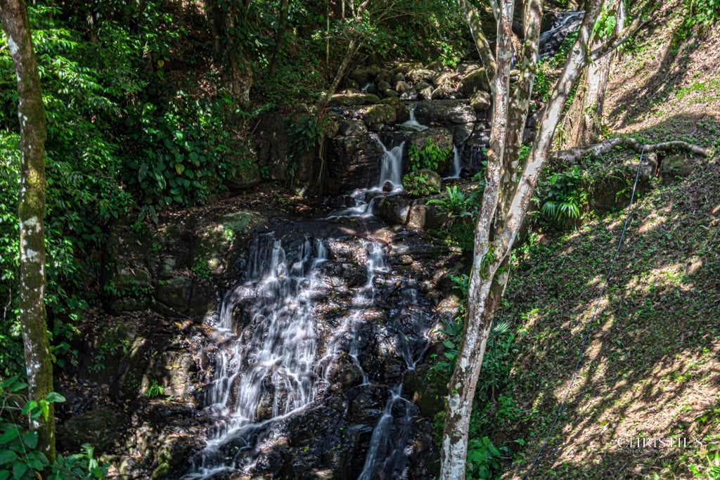 A Rare Thermal-Wellness Development Opportunity - Cacao Estates