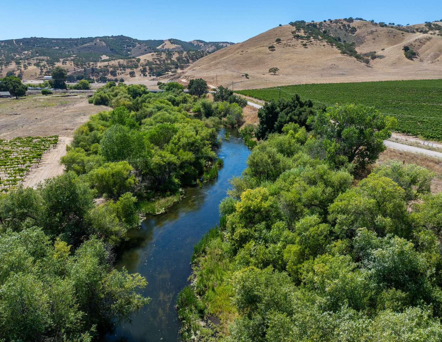 Joseph Vineyard | 76987 Nacimiento Lake Drive