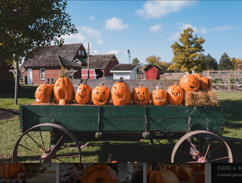 Celebrating National Pumpkin Day today!