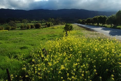 Portola Valley