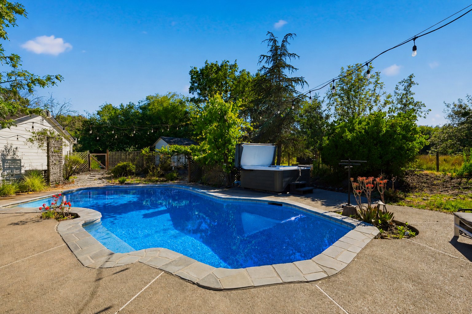 8174 Whited Road