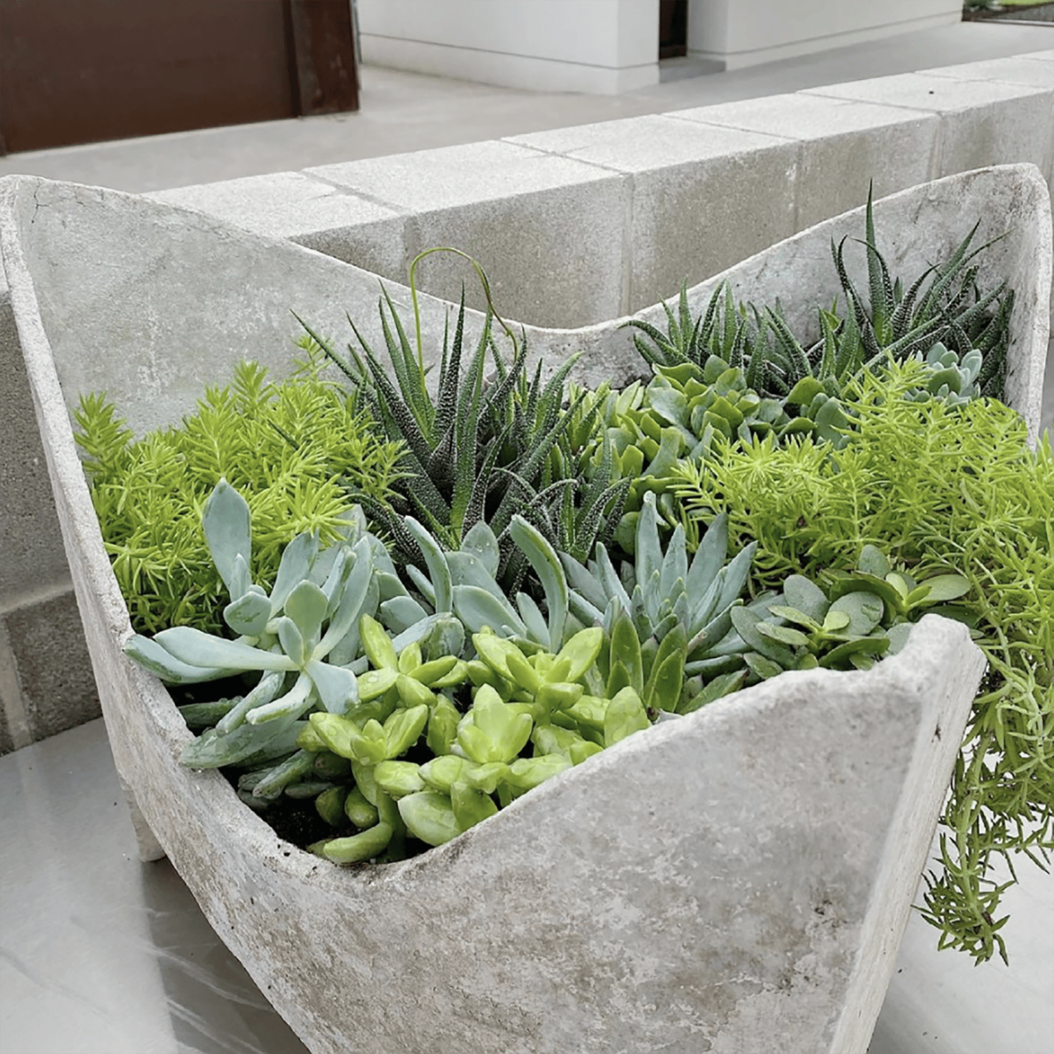 Guest houses with green lawn