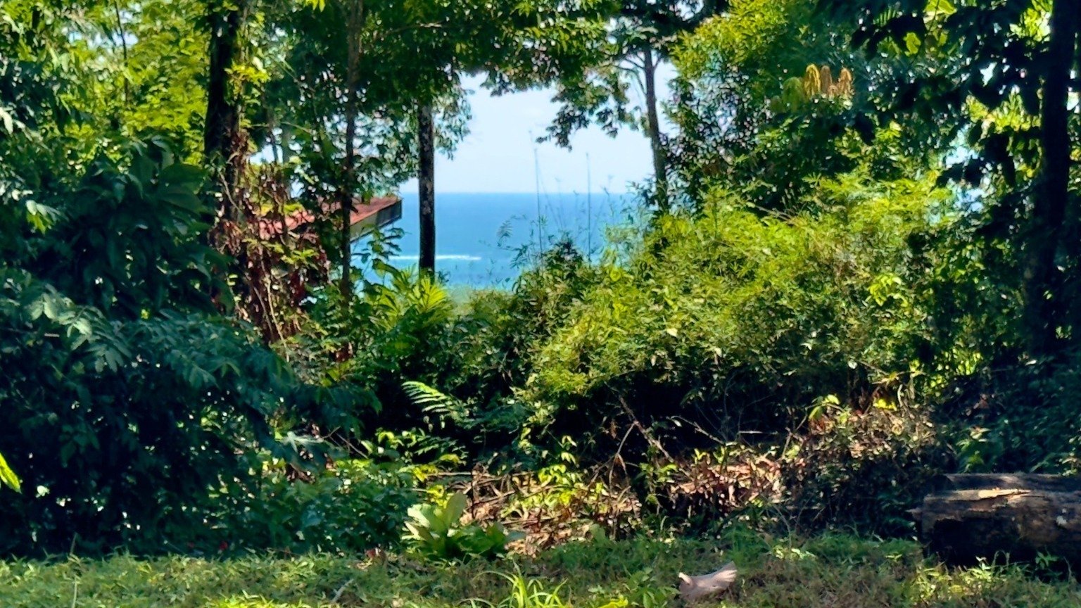 Tropical Sanctuary Above Uvita: 5-Acre Jungle Estate with incredible Mountain Views