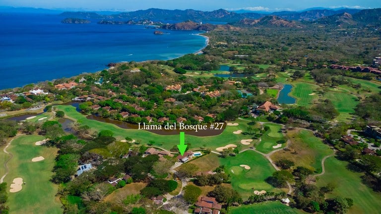 Llama del Bosque 27