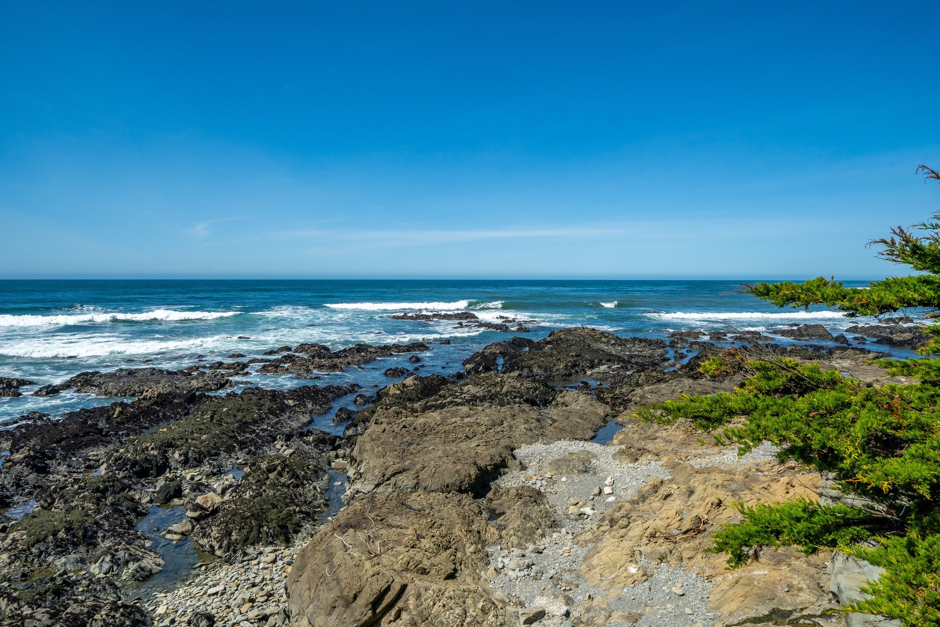 Oceanfront Luxury in Cambria - 2431 Sherwood Dr