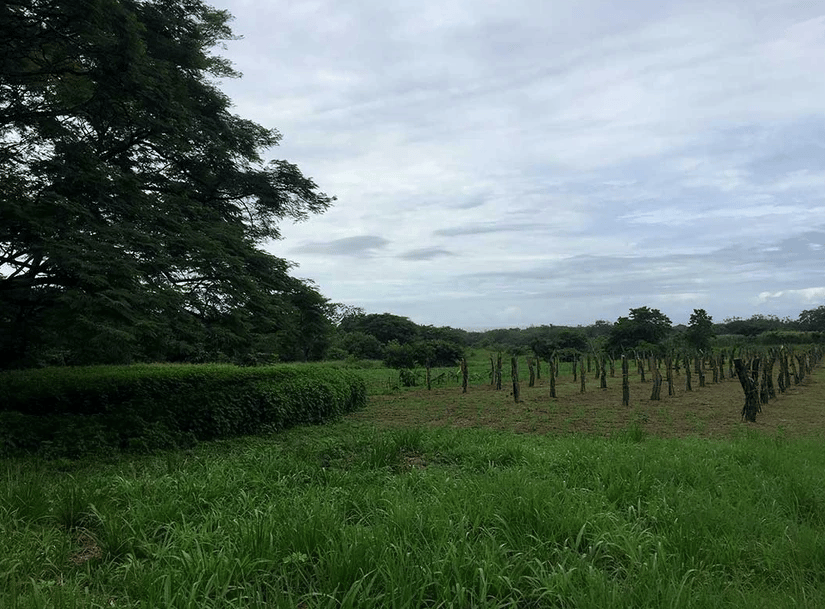 La Reserva Commercial Lot, Playa Camaronal / , Zapotal, Nandayure, Guanacaste
