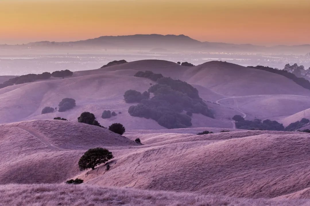 Heat Haze at East Bay Area