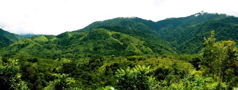 Rainforest Nature Reserve, Manuel Antonio, San Jose