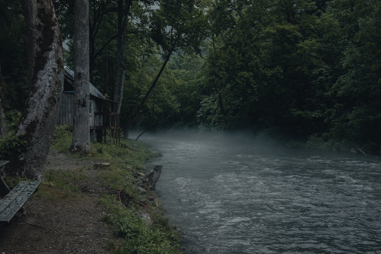 What Drives Strong Airbnb Returns in Gatlinburg