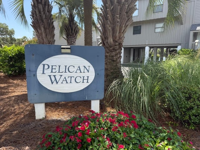 Pelican Watch - LBTS