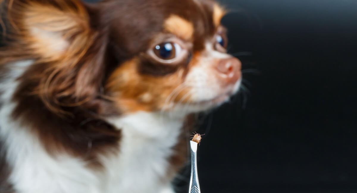 The Silent Deal-Killers: Small Issues That Stop Sales Cold