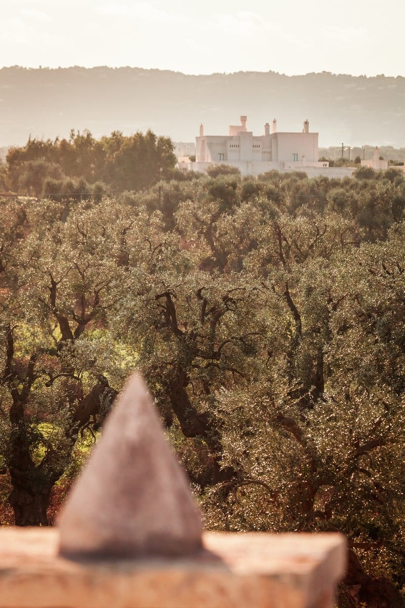 Intimate Villa Surrounded by Olive Trees Near the Town of Fasano