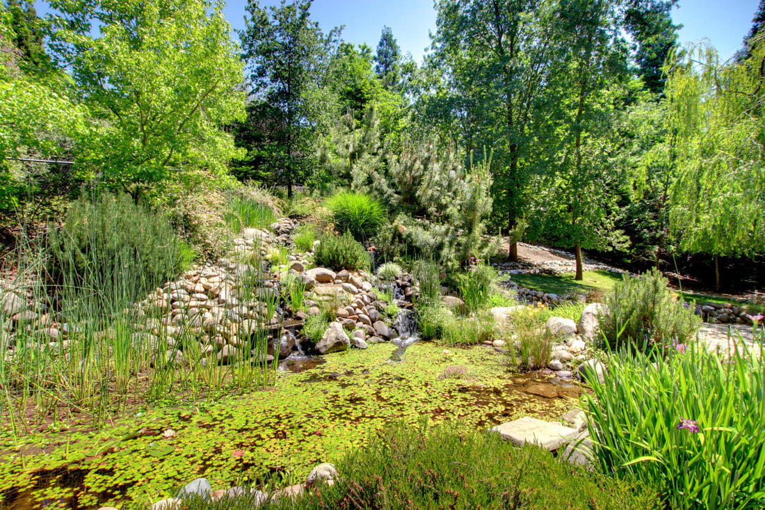 4246 Randhurst Way, Fair Oaks CA 95628