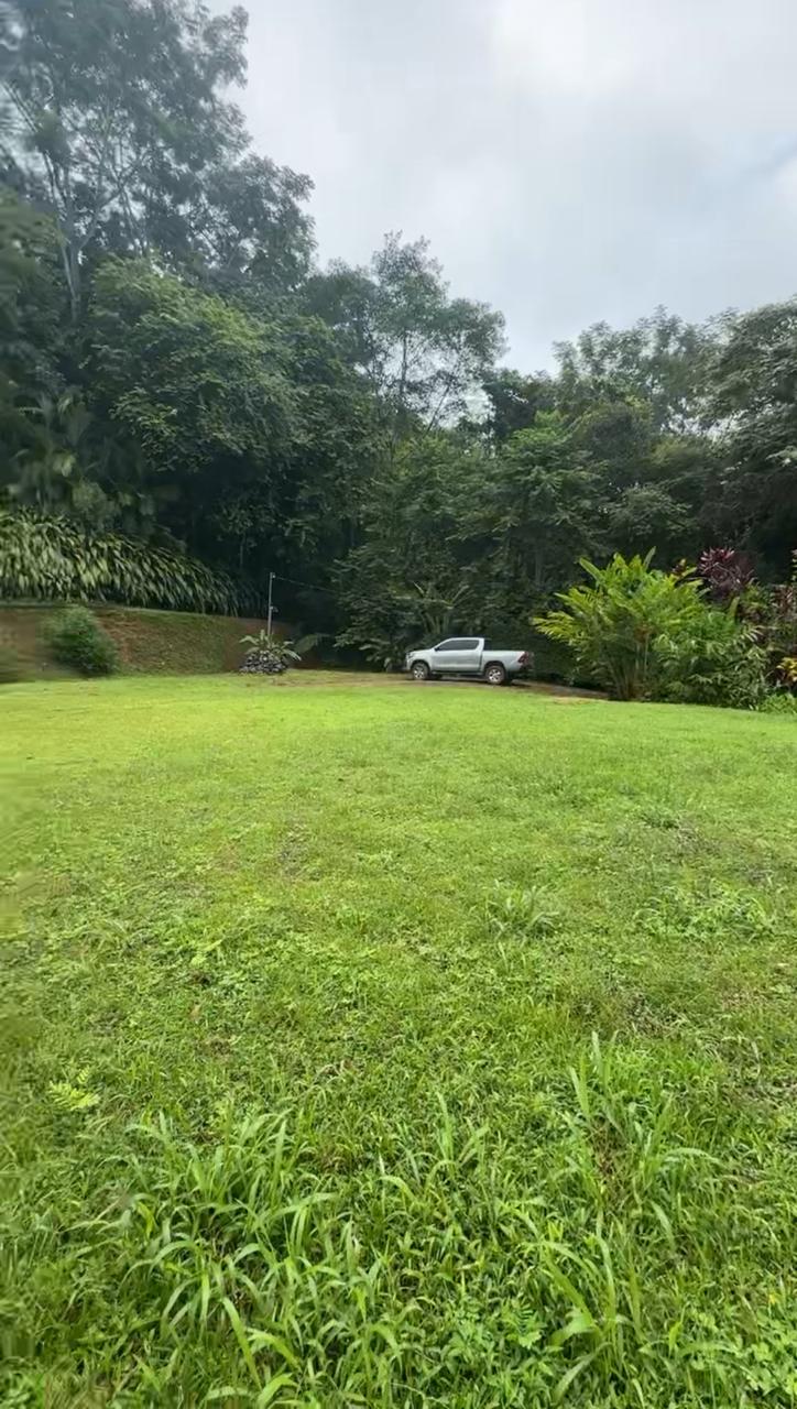 Build Amidst Untouched Jungle & Mountain Vistas | Ocean-View Estate with Fruit Orchards + Casita Design Your Vision in Tres Rios, Costa Rica