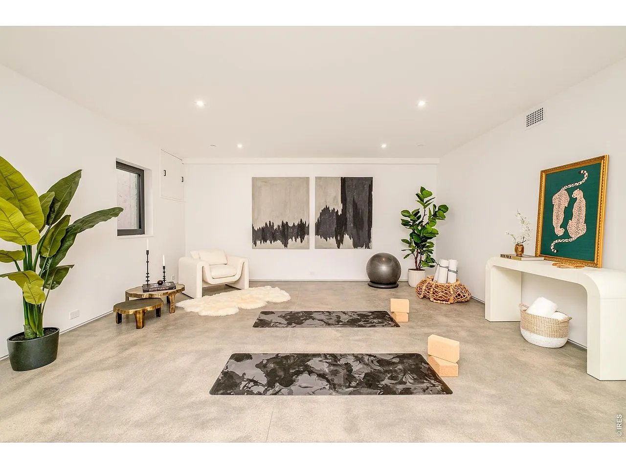 Home exercise room with two yoga mats, blocks, and a stability ball.