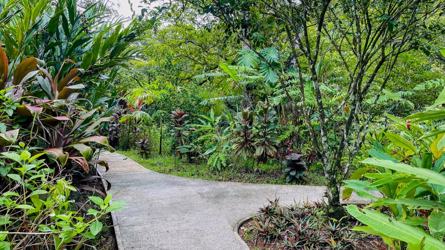 Modern House For Sale With Jungle View, Peaceful Stream, and Rental Cabins