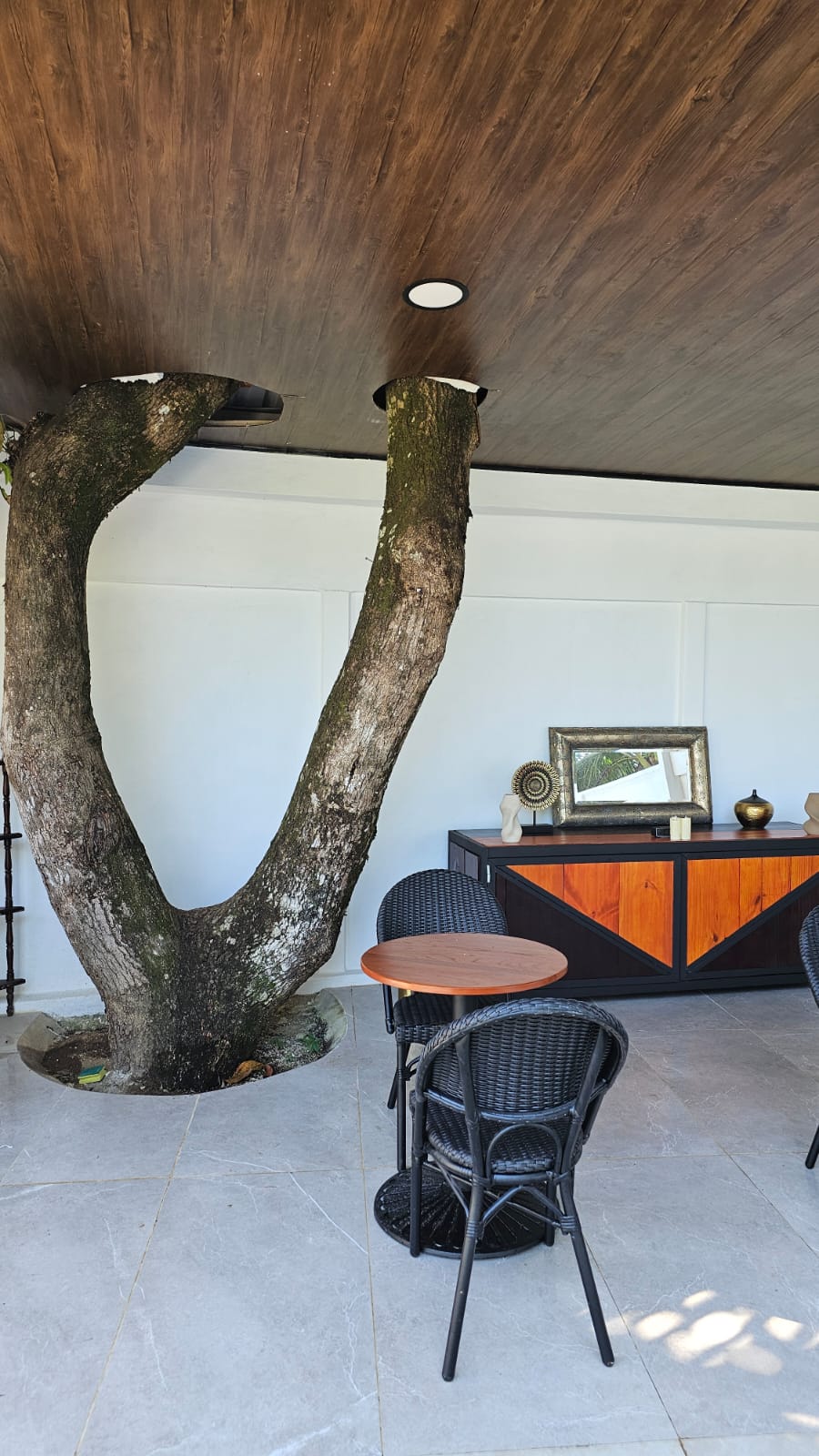 Turnkey Boutique Hotel for Sale in Bahía Ballena, Uvita – Los Papyrus