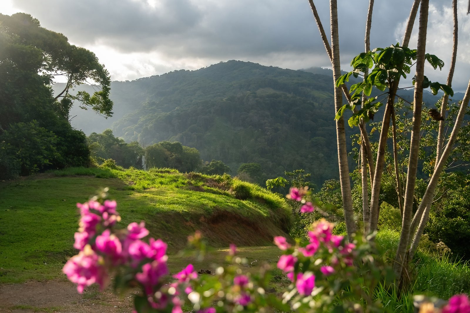 60+ Hectares in Platanillo | Own Your Own Mountain in Costa Rica