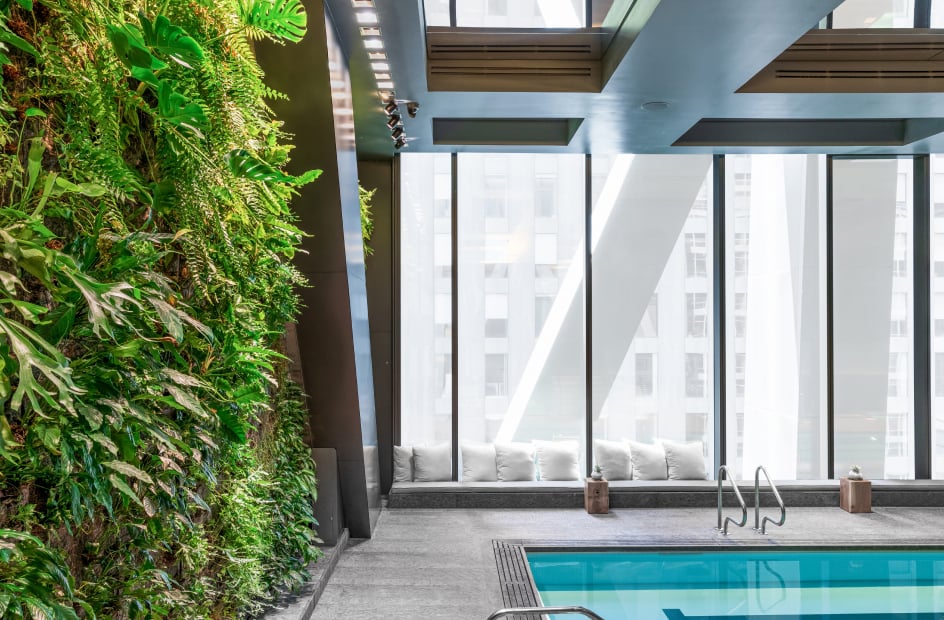 Indoor pool beside a lush green wall and floor-to-ceiling windows at 53 West 53.