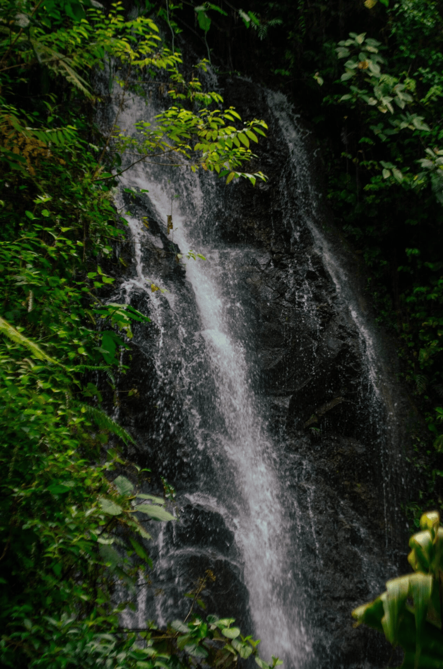 Finca Rincon De La Vieja, 61 Acre Costa Rican Paradise
